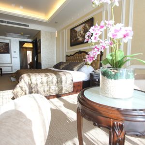Elite suite